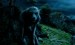 hp3pa_127Werewolf.jpg